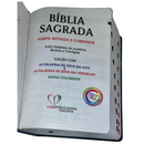 Bíblia Leão Universo Letra Hipergigante Capa Dura Com Harpa e Índice Masculina Arc