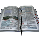 Bíblia Leão Universo Letra Hipergigante Capa Dura Com Harpa e Índice Masculina Arc