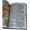 Bíblia Leão Universo Letra Hipergigante Capa Dura Com Harpa e Índice Masculina Arc