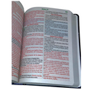 Bíblia Leão Universo Letra Hipergigante Capa Dura Com Harpa Masculina Arc