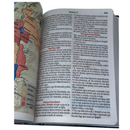 Bíblia Leão Universo Letra Hipergigante Capa Dura Com Harpa Masculina Arc