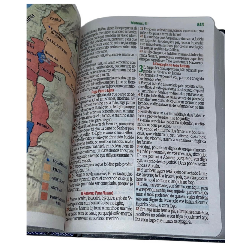 Bíblia Leão Universo Letra Hipergigante Capa Dura Com Harpa Masculina Arc