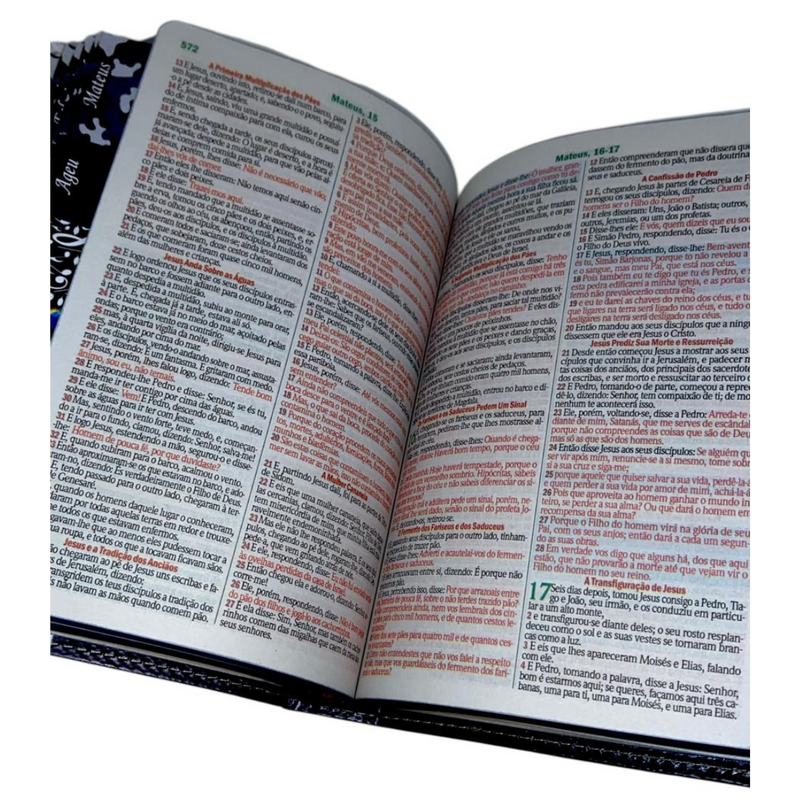 Bíblia Leão Yeshua Letra Gigante Capa Flexível Com Harpa E Abas Coladas Masculina Arc