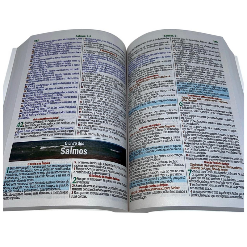 Bíblia Leão Color Letra Gigante Capa Brochura Com Harpa Masculina e Feminina Arc