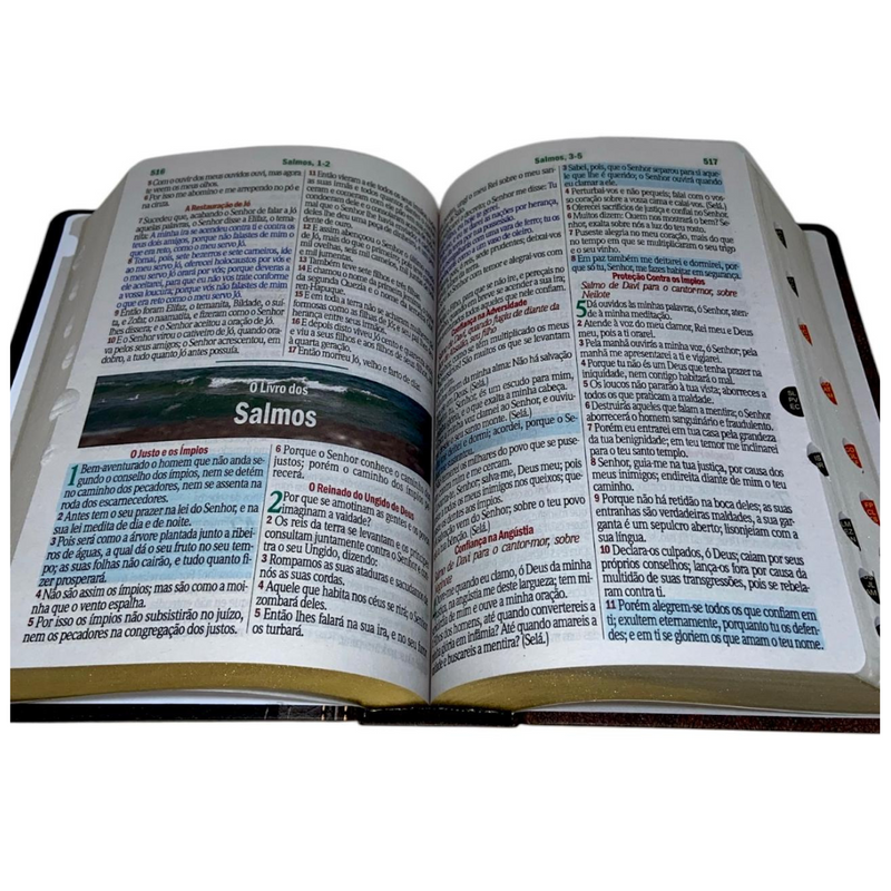 Bíblia Cor Marrom Letra Hipergigante Capa Laminada Com Harpa Índice Caixa e Caneta Masculina Arc