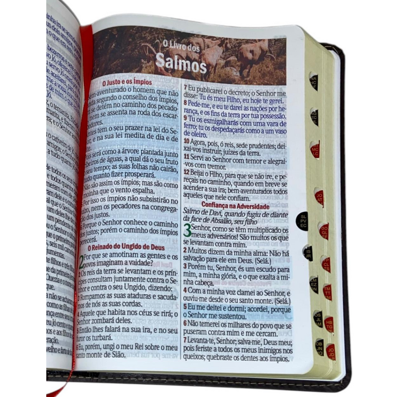Bíblia Cor Marrom Letra Hipergigante Capa Flexível Com Harpa e Índice Colorida Arc