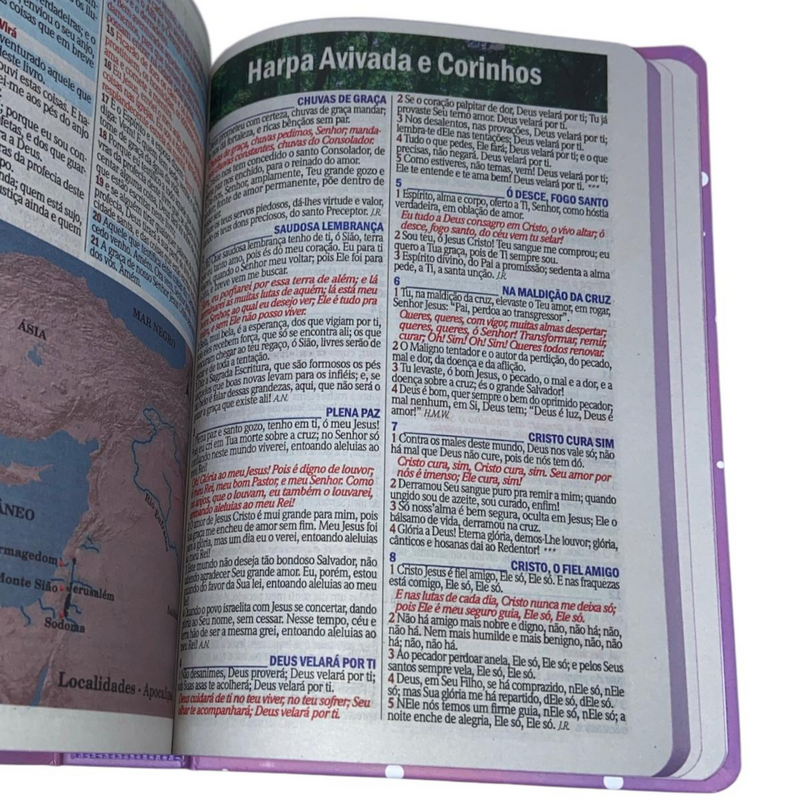 Bíblia Das Meninas Corajosas Lilás Letra Gigante Infantil Capa Dura Com Harpa Feminina Arc