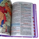 Bíblia Das Meninas Corajosas Lilás Letra Gigante Infantil Capa Dura Com Harpa e Índice Feminina Arc