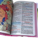 Bíblia Das Meninas Corajosas Rosa Letra Gigante Infantil Capa Dura Com Harpa Feminina Arc