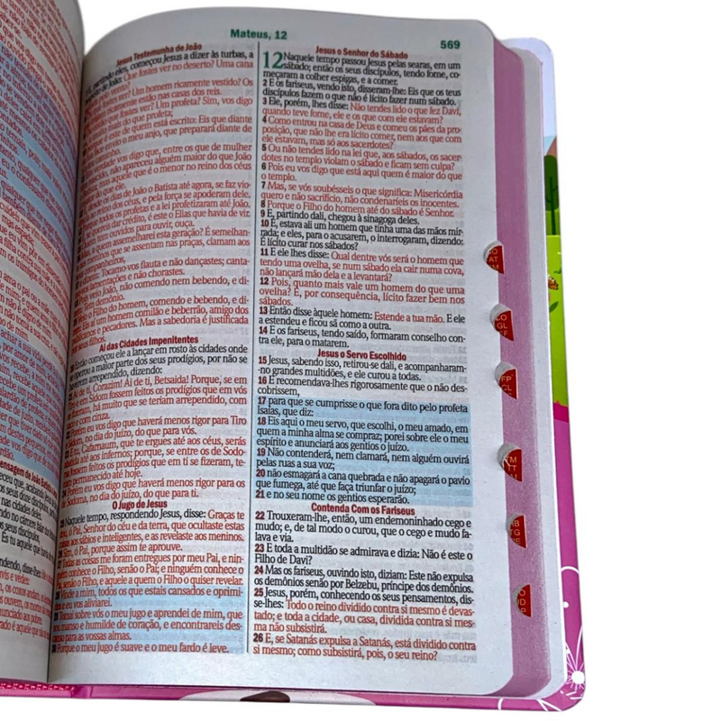 Bíblia Das Meninas Corajosas Rosa Letra Gigante Infantil Capa Dura Com Harpa e Índice Feminina Arc