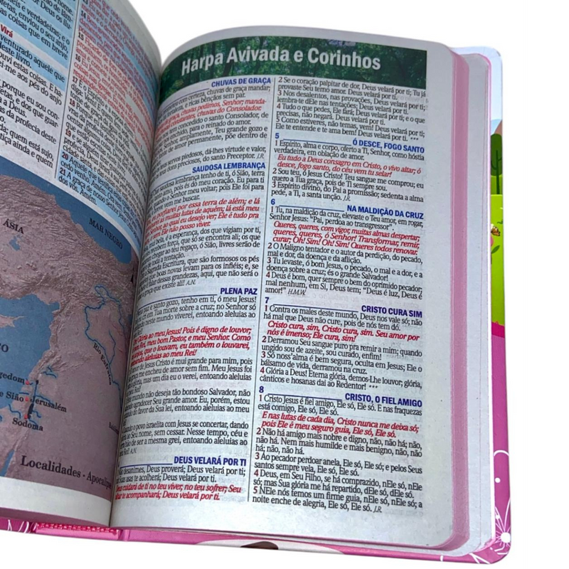 Bíblia Das Meninas Corajosas Rosa Letra Gigante Infantil Capa Dura Com Harpa Feminina Arc