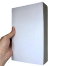 Miolo Para Bíblia Letra Gigante Com Harpa e Contra Capa Arc Folha PPM Full Color