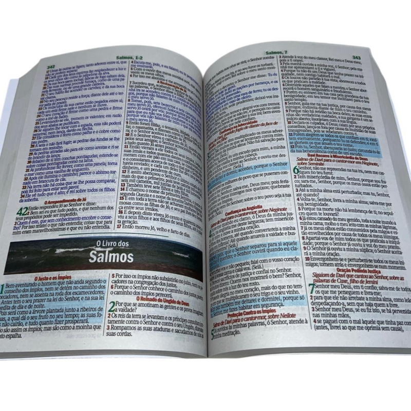 Miolo Para Bíblia Letra Gigante Com Harpa e Contra Capa Arc Folha PPM Full Color