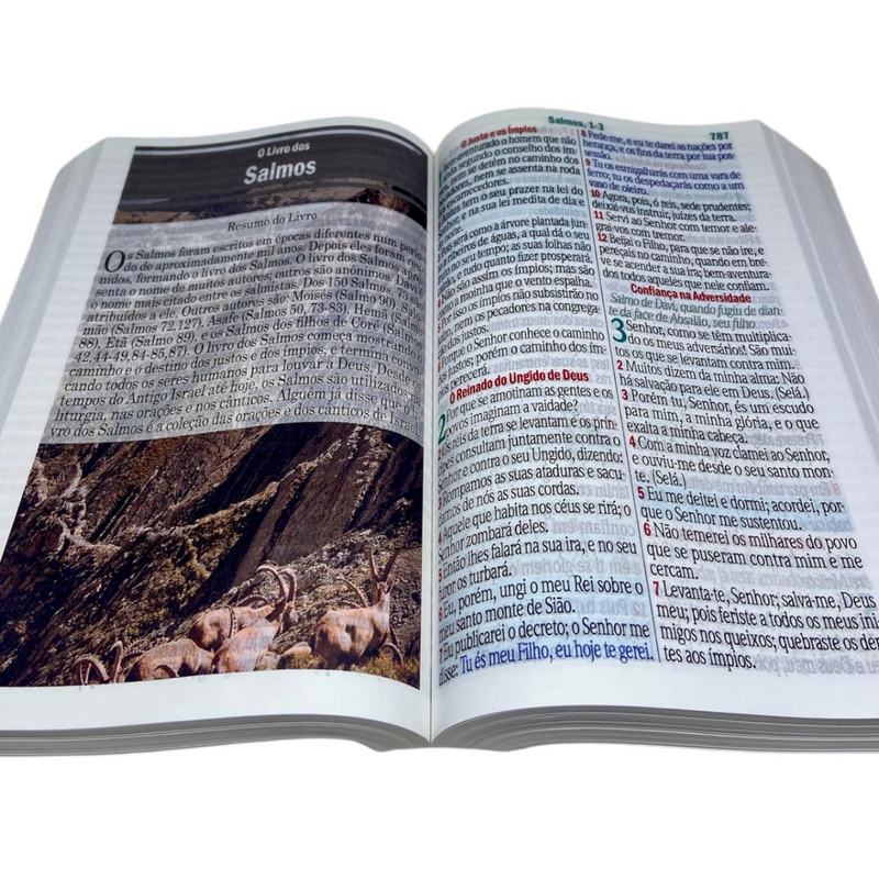 Miolo Para Bíblia Letra Jumbo Com Harpa e Contra Capa Arc Folha Branca Full Color