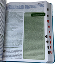 Bíblia De Estudo Mulher de Deus Aqua Letra Hipergigante Capa Flexível Com Harpa e Índice Arc