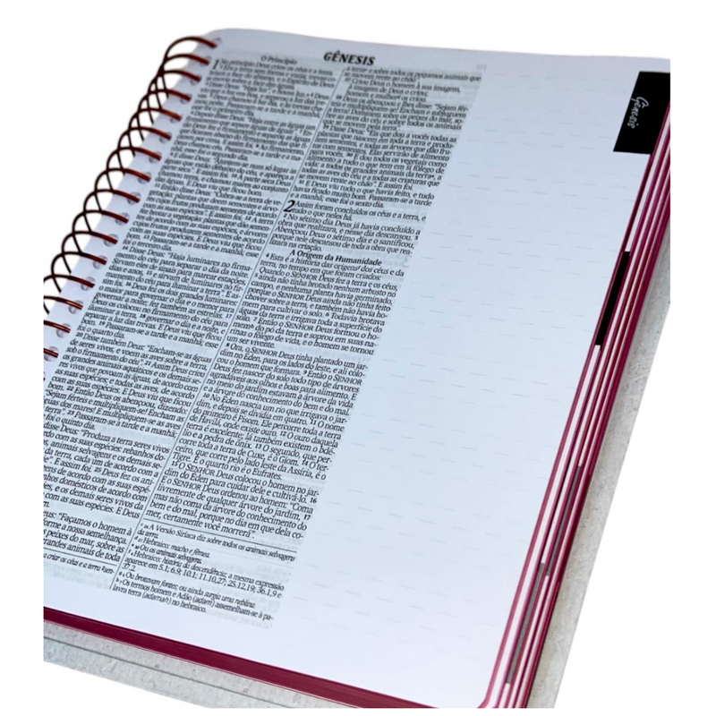 Bíblia Com Espaço Para Anotações Espiral Capa Dura Multiplicação de Pães Letra Normal Linguagem NVI