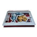 Bíblia Com Espaço Para Anotações Espiral Capa Dura Multiplicação de Pães Letra Normal Linguagem NVI