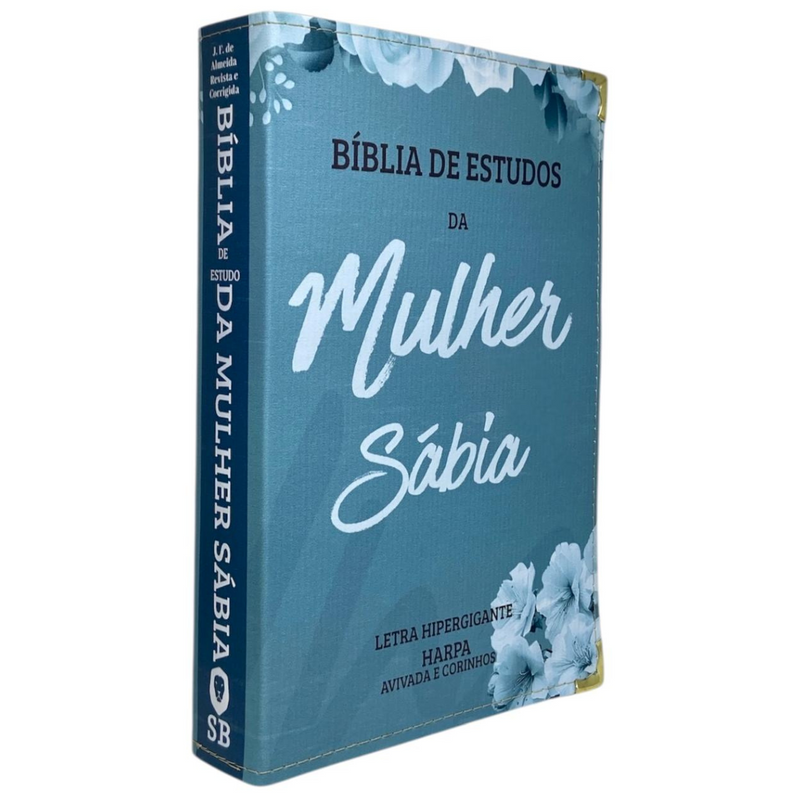 Bíblia Da Mulher Sábia Aqua De Estudo Letra Hipergigante Capa Flexível Com Harpa e Índice Feminina Arc
