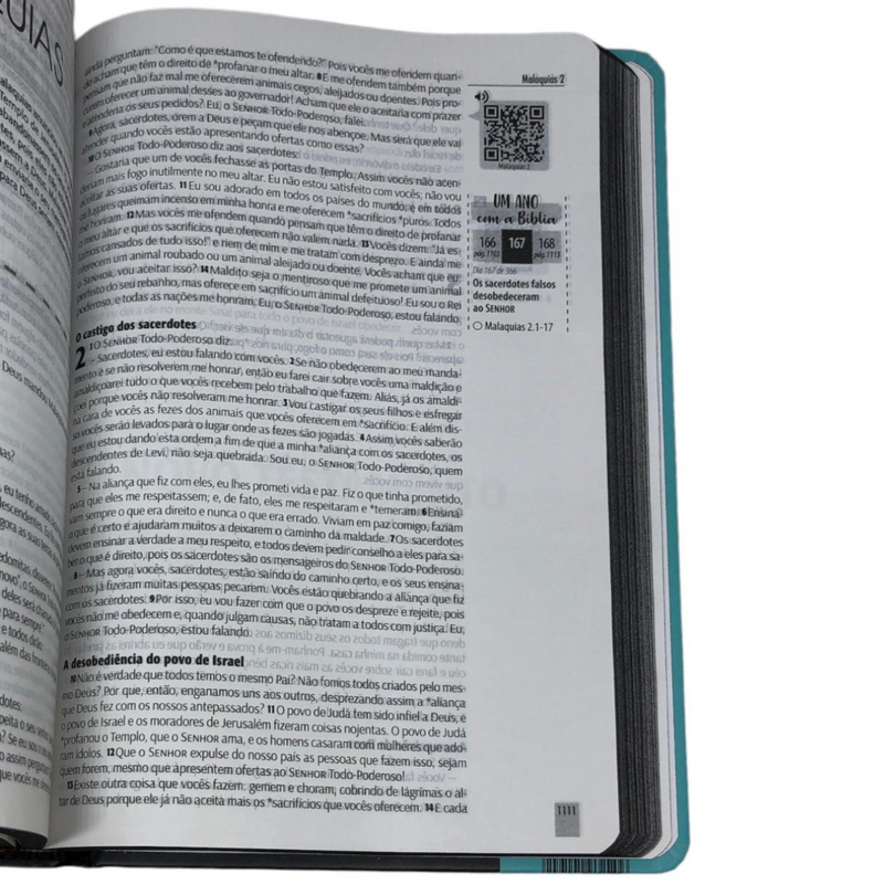 Bíblia Cruz Menta Letra Normal Capa Dura Masculina e Feminina Ntlh