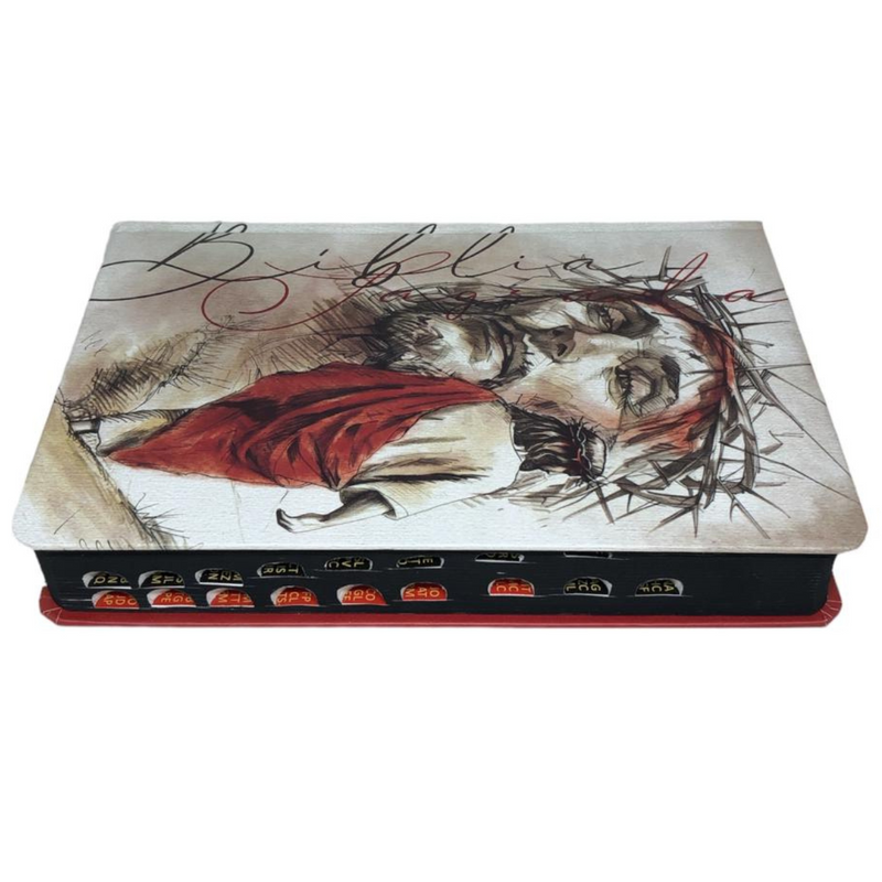 Bíblia Jesus Letra Normal Capa Dura Masculina e Feminina Com Índice Ntlh
