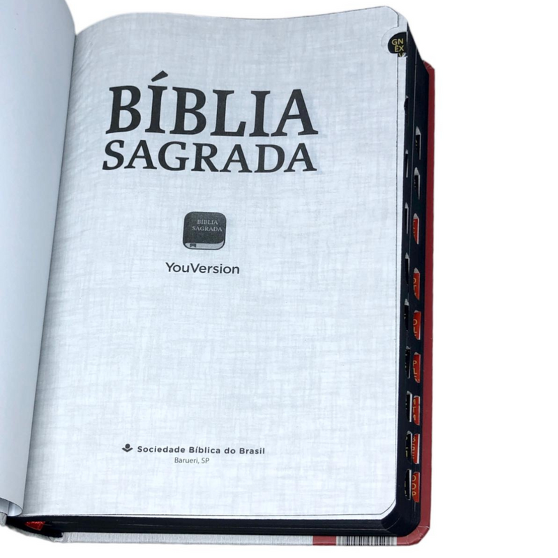 Bíblia Jesus Letra Normal Capa Dura Masculina e Feminina Com Índice Ntlh