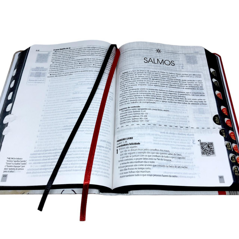 Bíblia Jesus Letra Normal Capa Dura Masculina e Feminina Com Índice Ntlh