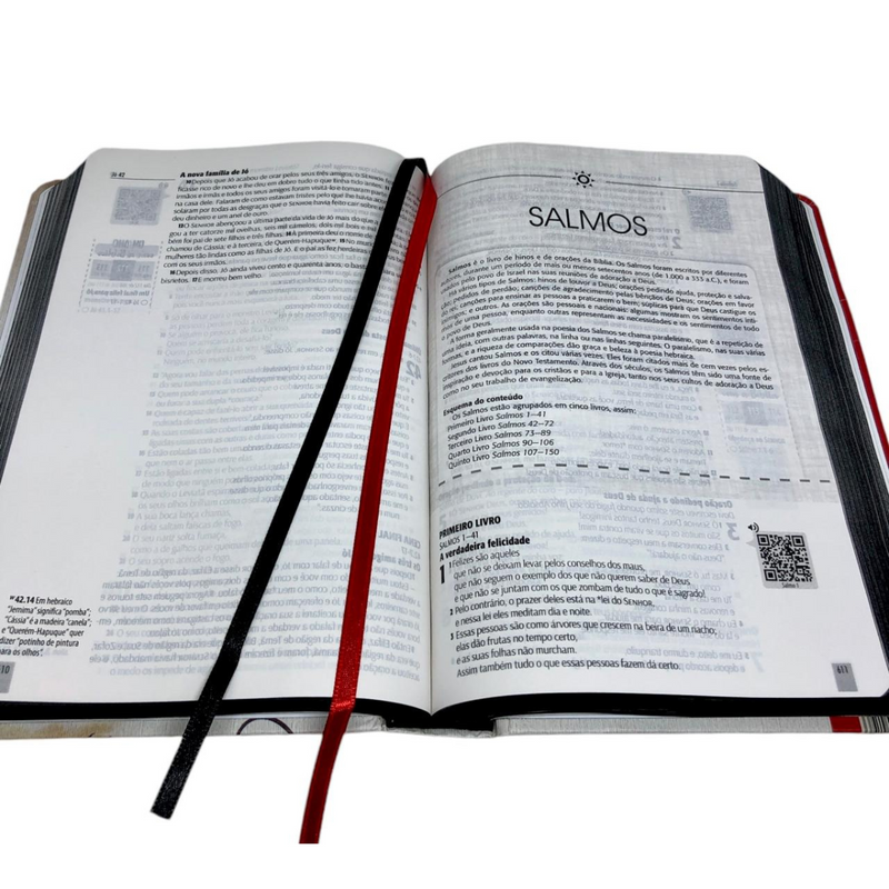 Bíblia Jesus Letra Normal Capa Dura Masculina e Feminina Ntlh