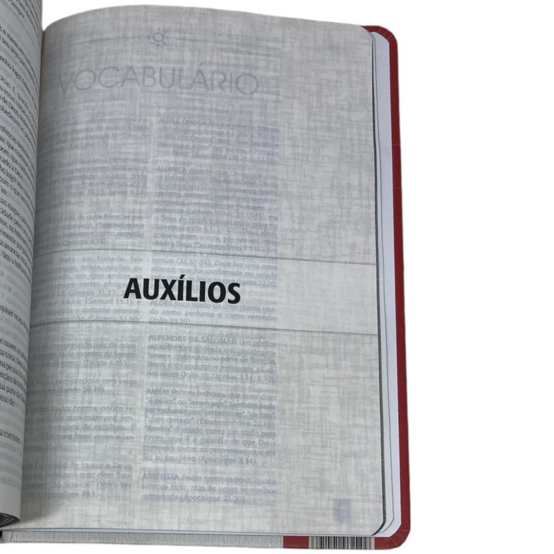 Bíblia Jesus Letra Normal Capa Dura Masculina e Feminina Com Índice Ntlh