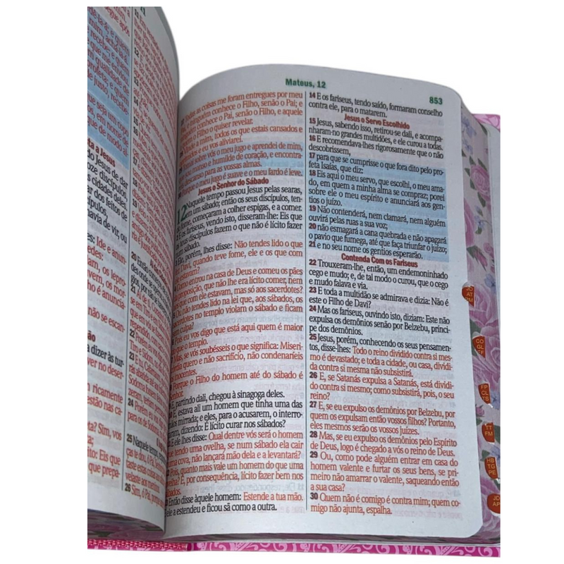 Bíblia Cor Pink Letra Hipergigante Capa Laminada Com Harpa Índice Caixa e Caneta Feminina Arc