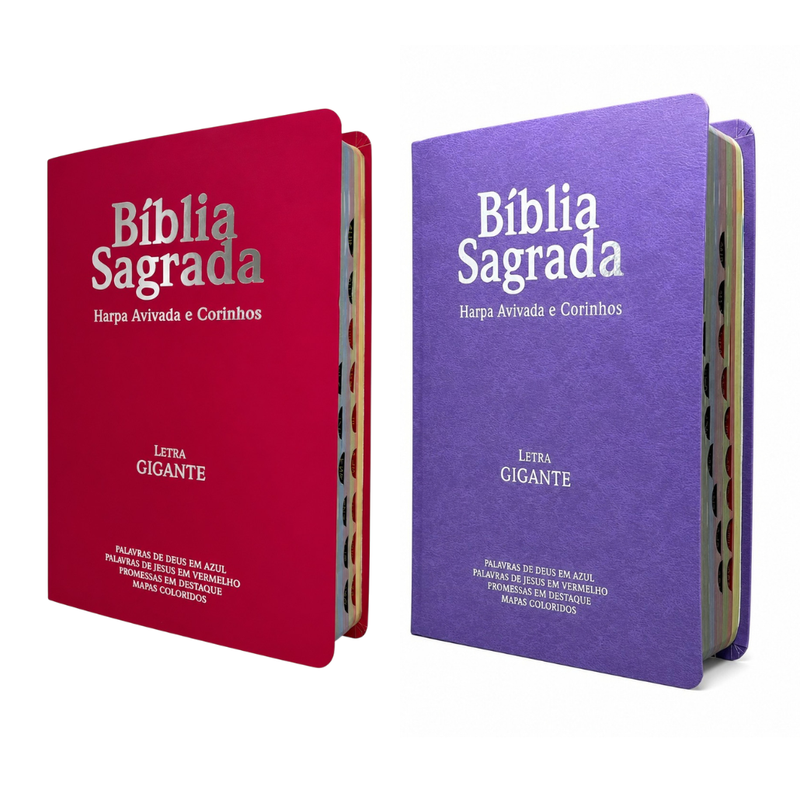 Kit 2 Bíblias Feminina Sagrada Letra Gigante Índice Semi Flexível  Harpa ARC Pink e Lilás
