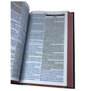 Bíblia Do Homem Sábio Com Estudo Letra Hipergigante Capa Dura Preta e Vermelha Com Harpa Masculina Arc