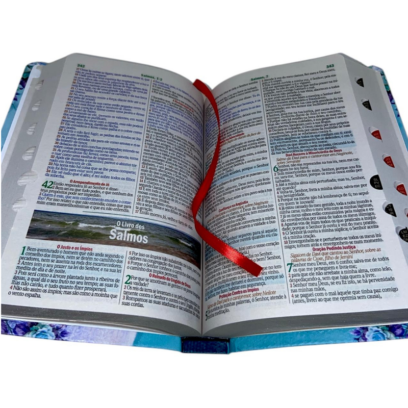 Bíblia Protegida Por Deus Letra Gigante Capa Flexível Com Harpa e Índice Feminina Arc