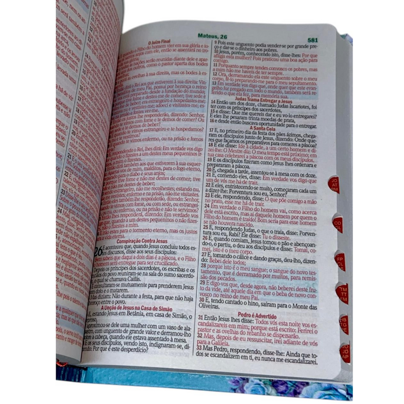 Bíblia Protegida Por Deus Letra Gigante Capa Flexível Com Harpa e Índice Feminina Arc