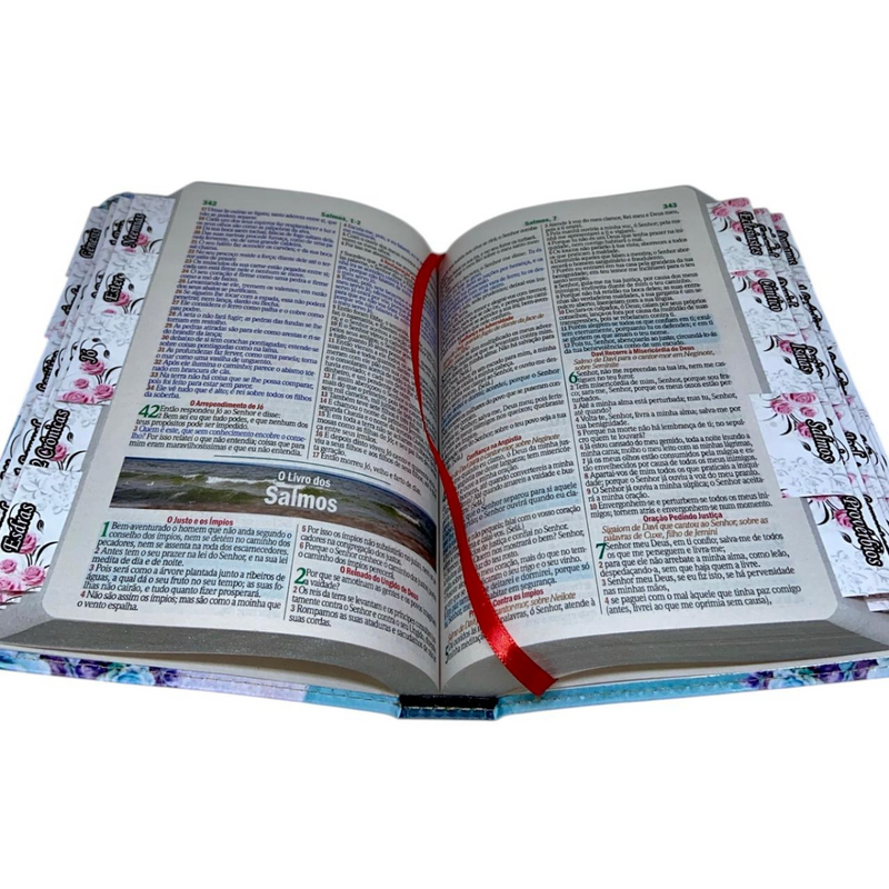Bíblia Protegida Por Deus Letra Gigante Capa Flexível Com Harpa E Abas Coladas Feminina Arc