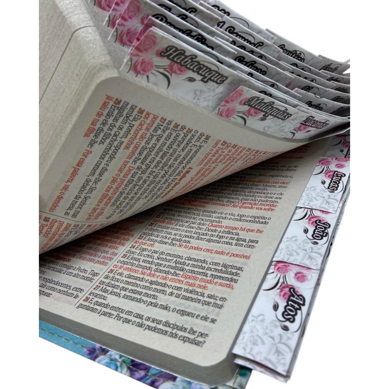 Bíblia Protegida Por Deus Letra Gigante Capa Flexível Com Harpa E Abas Feminina Arc