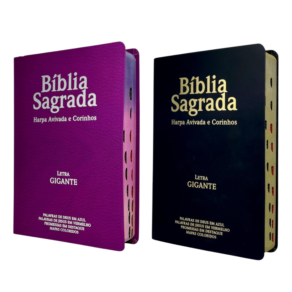 Kit 2 Bíblias Sagrada Com Índice e Capa Semi Flexivel Letra Gigante - Cor Preta e Pink