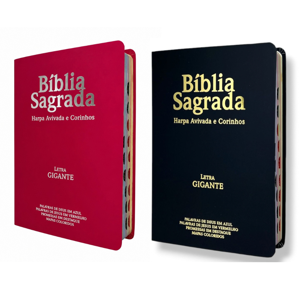 Kit 2 Bíblias Sagrada Com Índice e Capa Semi Flexivel Letra Gigante - Cor Preta e Pink