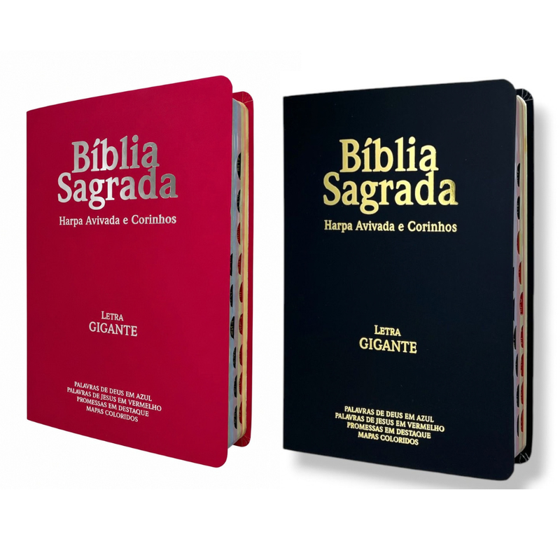 Kit 2 Bíblias Sagrada Com Índice e Capa Semi Flexivel Letra Gigante - Cor Preta e Pink