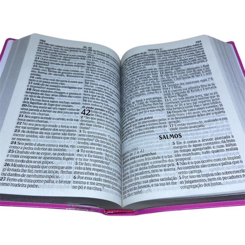 Bíblia Cor Pink Letra Jumbo Capa Coverbook Flexível Feminina King James 1611