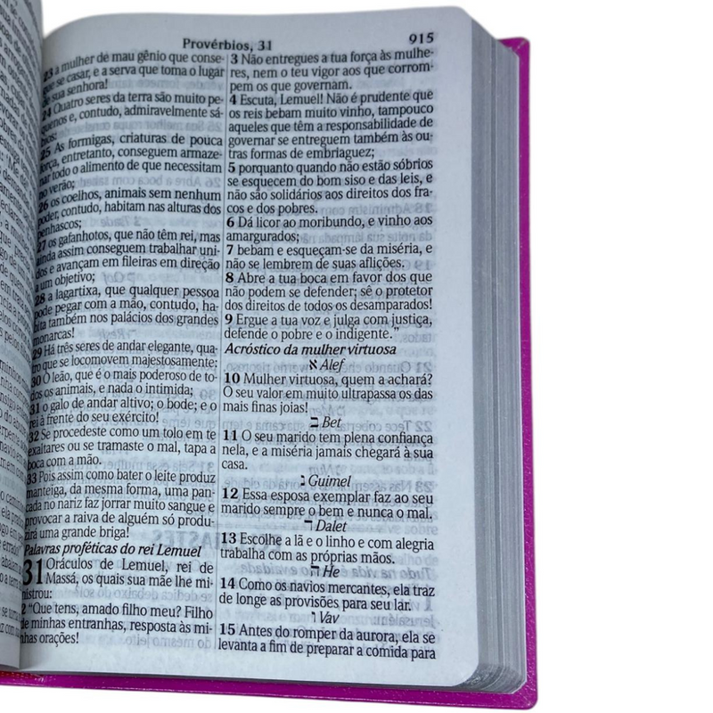 Bíblia Cor Pink Letra Jumbo Capa Coverbook Flexível Feminina King James 1611