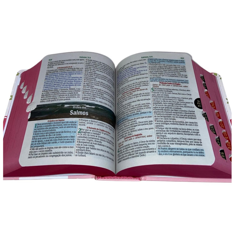 Bíblia Scrap Book Letra Grande Capa Dura Com Harpa e Índice Feminina Arc
