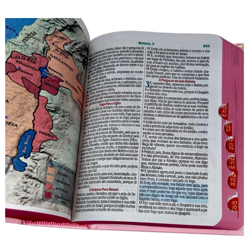 Bíblia Scrap Book Letra Grande Capa Dura Com Harpa e Índice Feminina Arc