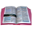 Bíblia Scrap Book Letra Grande Capa Dura Com Harpa Feminina Arc