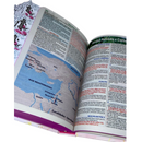 Bíblia Leão Seja Forte e Corajosa Cor Branca Letra Gigante Capa Dura Com Harpa E Abas Feminina Arc