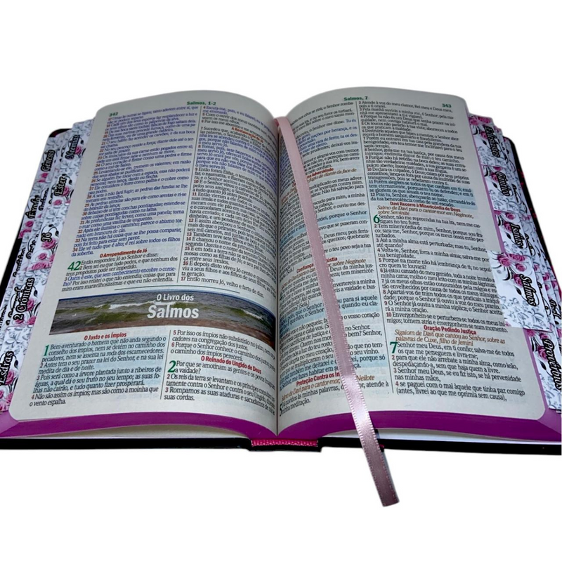 Bíblia Leão Seja Forte e Corajosa Cor Preta Letra Gigante Capa Dura Com Harpa E Abas Coladas Feminina Arc
