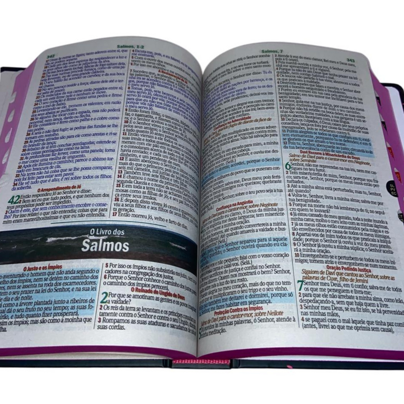 Bíblia Leão Seja Forte e Corajosa Cor Preta Letra Gigante Capa Dura Com Harpa E Índice Feminina Arc
