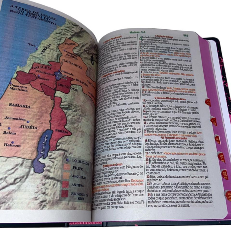 Bíblia Leão Seja Forte e Corajosa Cor Preta Letra Gigante Capa Dura Com Harpa E Índice Feminina Arc