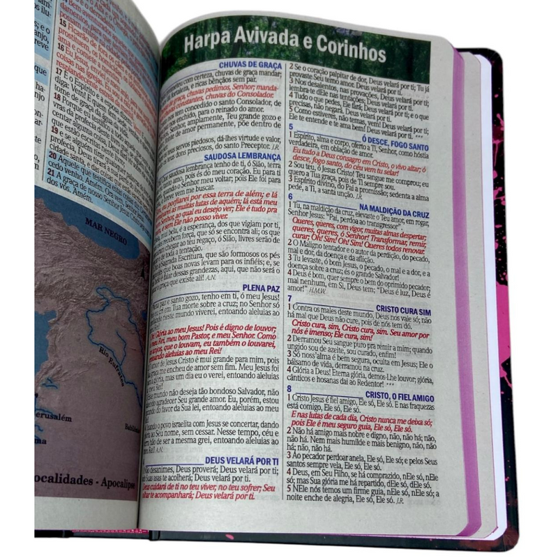 Bíblia Leão Seja Forte e Corajosa Cor Preta Letra Gigante Capa Dura Com Harpa Feminina Arc