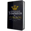 Bíblia Tesouros de Spurgeon Com Estudo Letra Gigante Capa Flexível Com Harpa Masculina Arc - 01