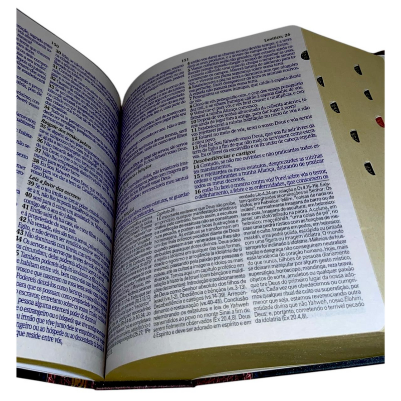 Bíblia de Estudo Tradicional Letra Hipergigante Capa Dura Com Índice Feminina e Masculina King James